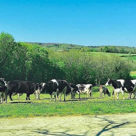 « Le Vieux Hangar » Gite A La Ferme Truffe المظهر الخارجي الصورة