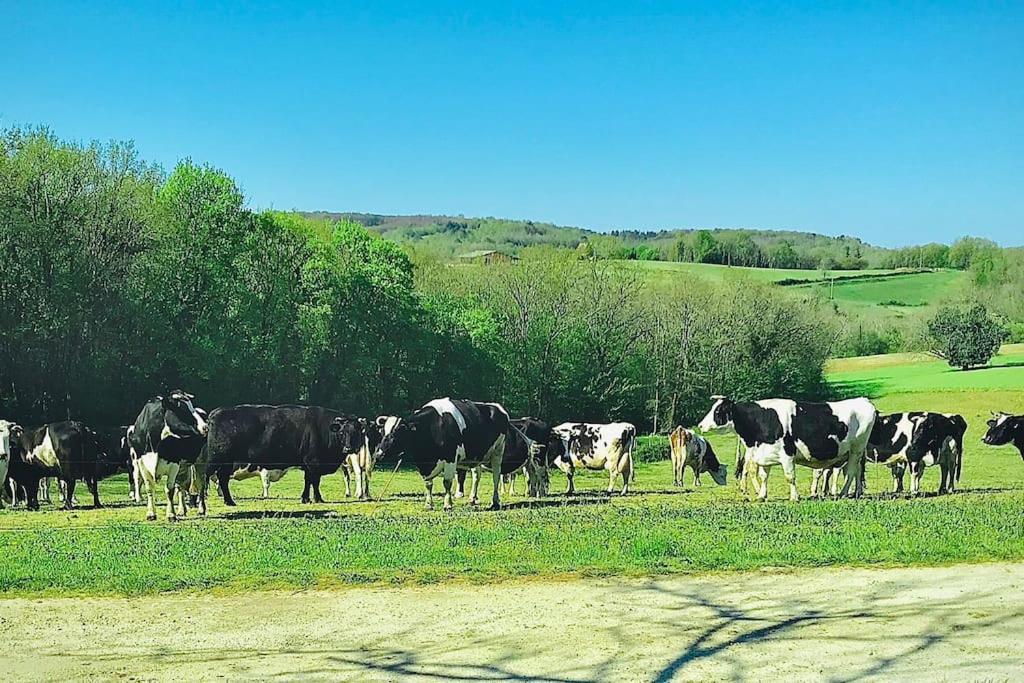 « Le Vieux Hangar » Gite A La Ferme Truffe المظهر الخارجي الصورة